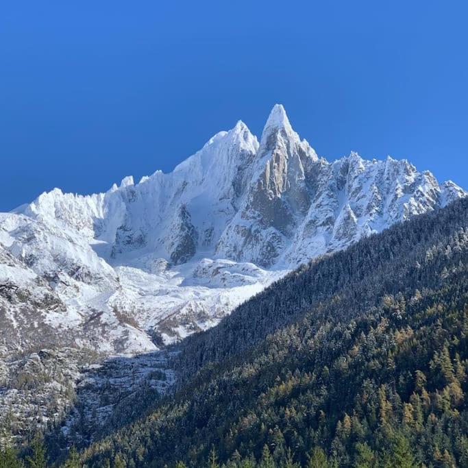 Apartament Belle Vue Des Praz Chamonix Zewnętrze zdjęcie